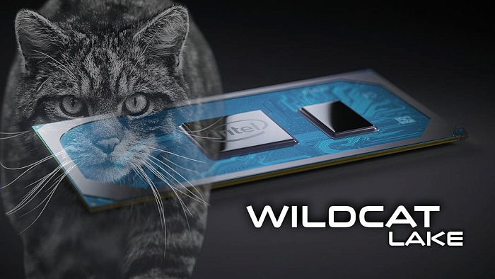 Бюджетные Intel Wildcat Lake не смогут работать с трассировкой лучей