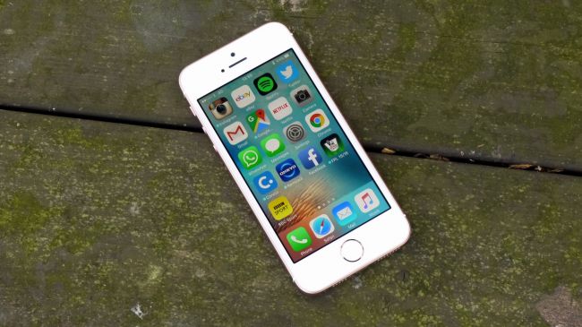 В сети появилась новая информация о iPhone SE 2 