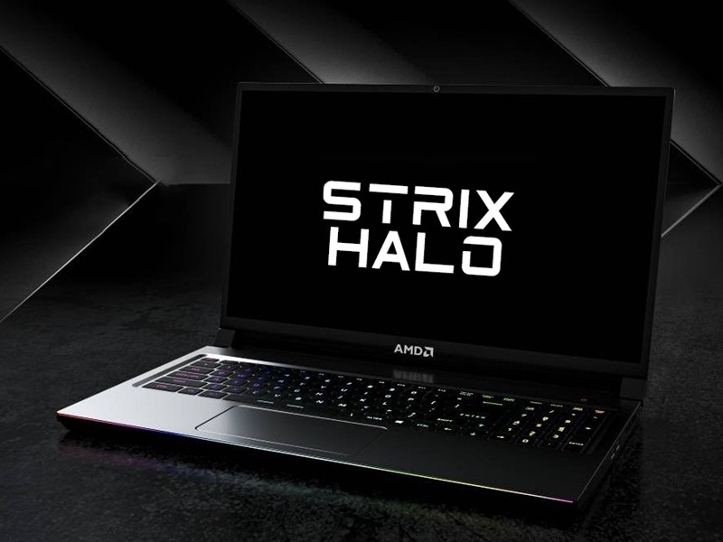 Интегрированная графика Radeon 8050S показала себя лучше дискретной ...