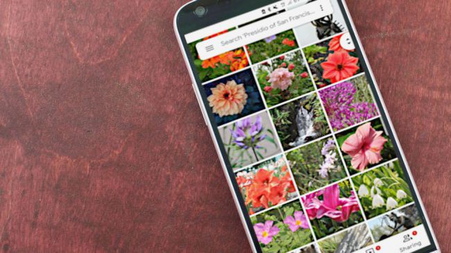 В Google Photos теперь можно будет искать текст на фотографиях