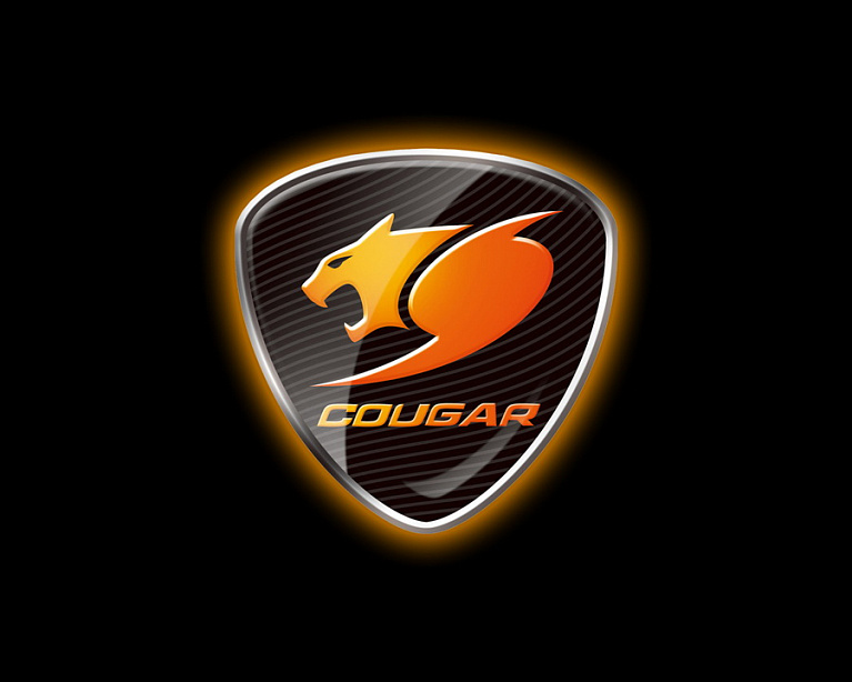 Компактный Full Tower для энтузиаста: обзор и тест корпуса Cougar Evolution