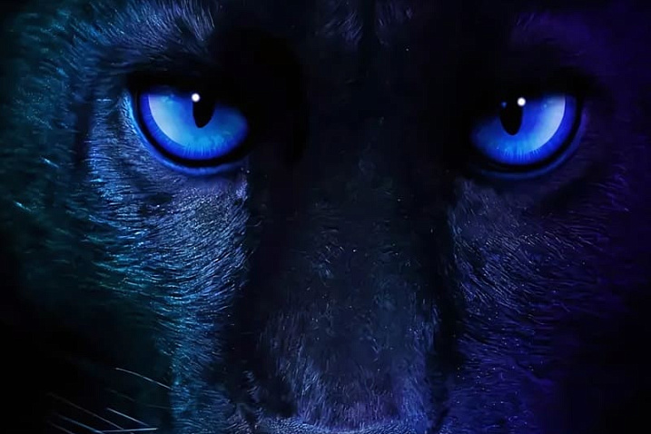 Intel подтвердила запуск Panther Lake в рамках выставки CES 2026