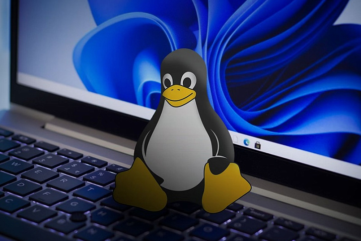 Рыночная доля Linux скоро достигнет 5%