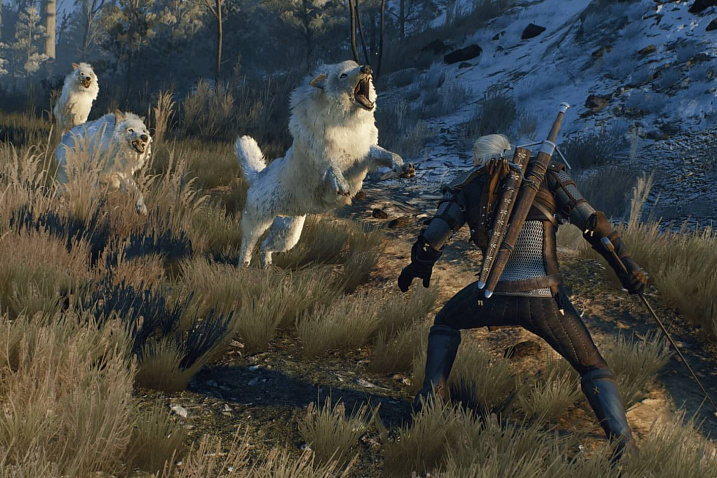 Продажи Witcher 3 превысили 20 миллионов копий