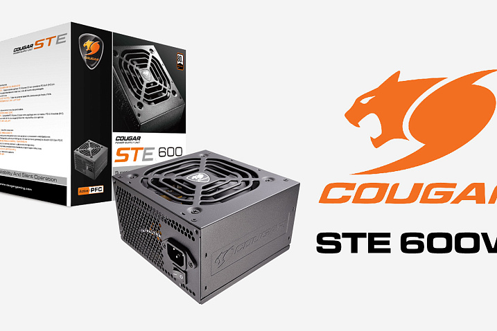 Обзор и тест блока питания Cougar STE 600W