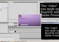 В свободном аналоге Windows пытаются запустить Adobe Premiere