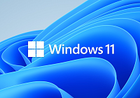 Microsoft DirectStorage будет доступна только на Windows 11