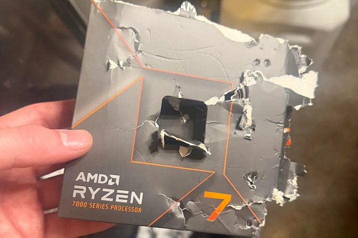 Собака прогрызла AMD Ryzen 7 7700X, повредив контакты процессора