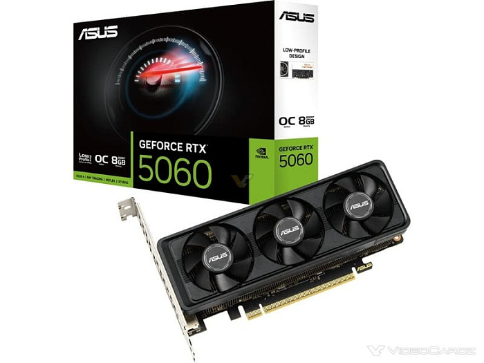 ASUS выпустила низкопрофильную видеокарту GeForce RTX 5060 LP BRK