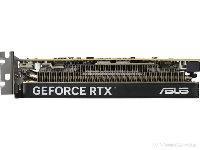 ASUS выпустила низкопрофильную видеокарту GeForce RTX 5060 LP BRK