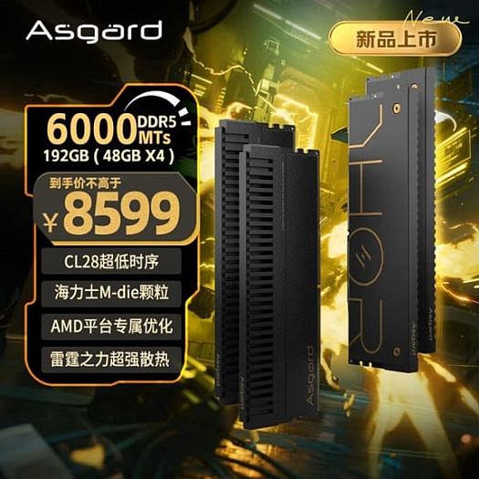 Новая оперативная память Asgard Valkyrie объёмом 256 Гбайт стоит больше RTX 5090