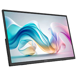 Портативный монитор MSI PRO MP165 E6 оценён в $115
