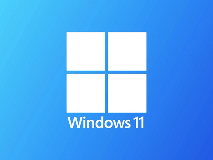 Популярность Windows 11 продолжает увеличиваться