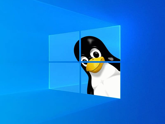 Почти 90% игр для Windows работают под управлением Linux
