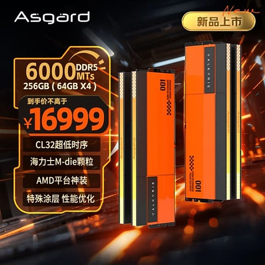 Новая оперативная память Asgard Valkyrie объёмом 256 Гбайт стоит больше RTX 5090