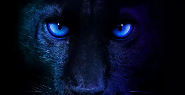 Intel подтвердила запуск Panther Lake в рамках выставки CES 2026
