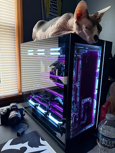 Два экземпляра AMD Ryzen 7 9800X3D вышли из строя на материнских платах ASUS